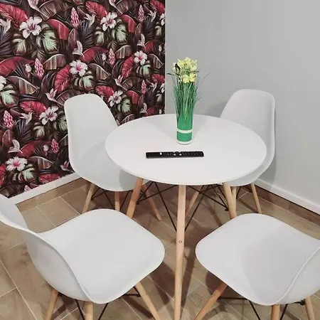 Family Flat Stade De France Airport Cdg Le Bourget 