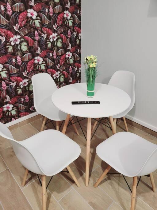 Family Flat Stade De France Airport Cdg Le Bourget 